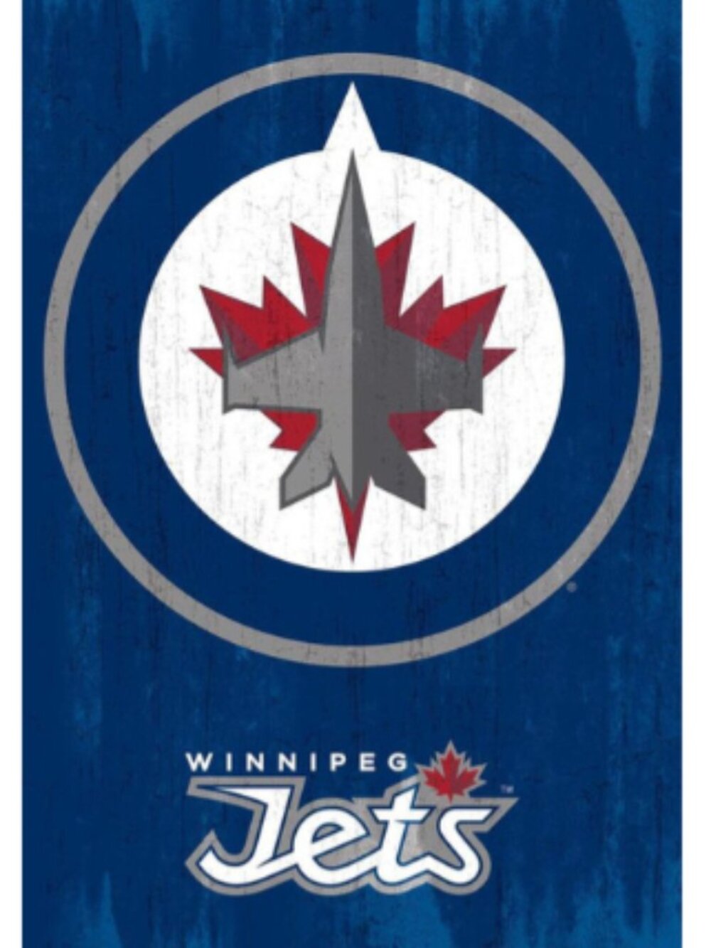 Winnipeg Jets Poster From Trends International